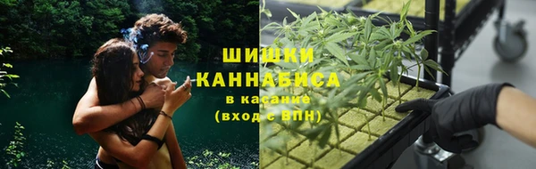индика Алзамай