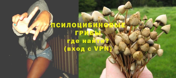 индика Алзамай