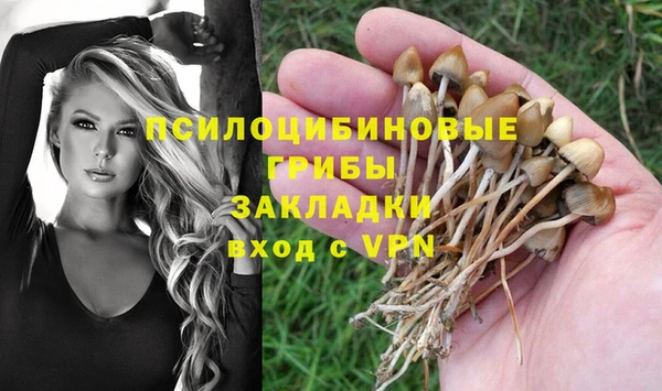 эйфоретик Арсеньев