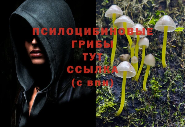 spice Аркадак