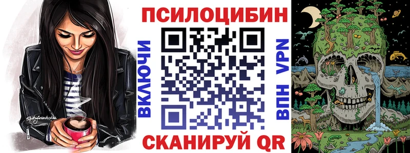 Купить где  Бирюсинск  Псилоцибиновые грибы Cubensis 